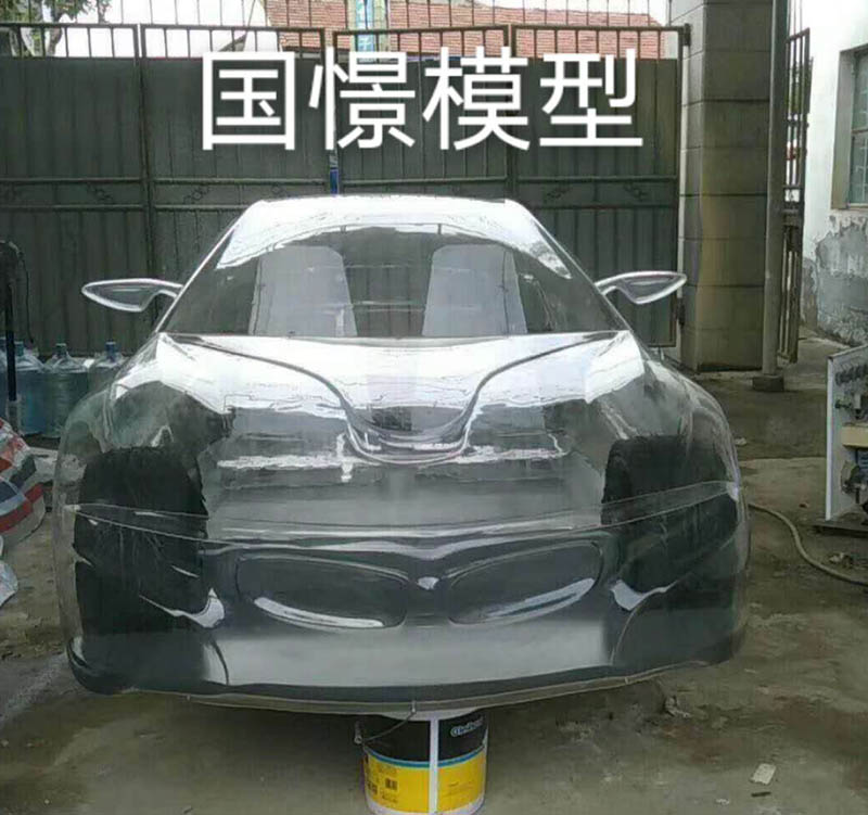 东光县透明车模型